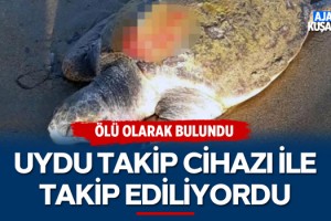 Uydu Takip Cihazı İle Takip Ediliyordu Ölü Bulundu!