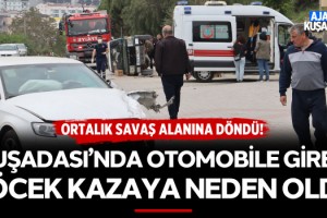 Kuşadası'nda Otomobile Giren Böcek Kazaya Neden Oldu!