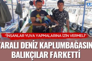 Yaralı Deniz Kaplumbağasını Balıkçılar Farketti