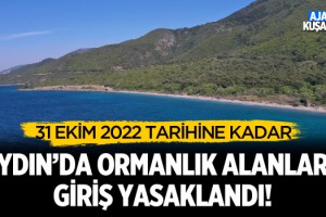 Aydın'da Ormanlık Alanlara Girişler Yasaklandı!