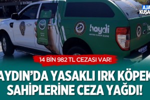 Aydın'da Yasaklı Irk Köpek Sahiplerine Ceza Yağdı!