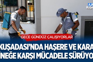 Kuşadası'nda Haşere ve Kara Sineğe Karşı Mücadele Sürüyor
