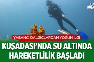Kuşadası'nda Su Altında Hareketlilik Başladı