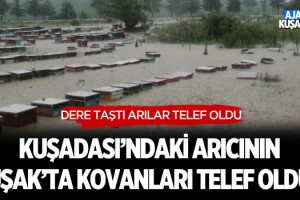 Kuşadası'ndaki Arıcının Uşak'ta Kovanları Telef Oldu!