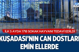Kuşadası'nın Can Dostları Emin Ellerde