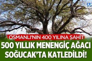 Osmanlı'nın 400 Yılına Şahit Olan 500 Yıllık Menengiç Ağacı Soğucak'ta Katledildi