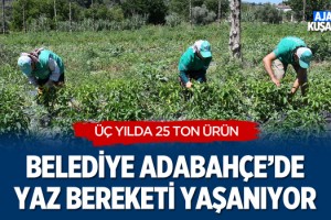 Kuşadası Belediyesi Adabahçe'de Yaz Bereketi Yaşanıyor
