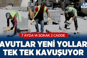 Davutlar Yeni Yollarına Tek Tek Kavuşuyor