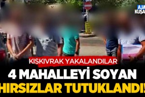 Kuşadası'nda 4 Mahalleyi Soyan Hırsızlar Tutuklandı!