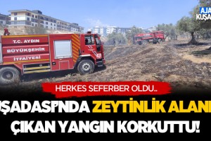 Kuşadası'nda Zeytinlik Alanda Çıkan Yangın Korkuttu!