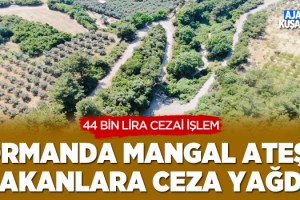 Ormanlarda Mangal Ateşi Yakanlara Ceza Yağdı!