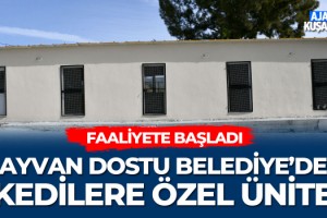 Hayvan Dostu Belediye'den Kedilere Özel Ünite