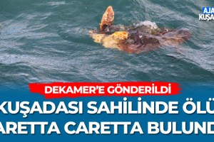 Kuşadası Sahilinde Bulundu!