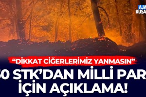 50 STK'dan Milli Park İçin Açıklama!