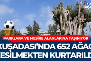 Kuşadası'nda 652 Ağaç Kesilmekten Kurtarıldı