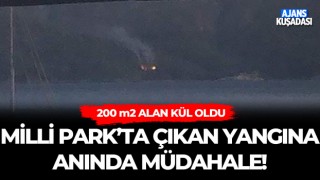 Milli Park'ta Çıkan Yangına Anında Müdahale!