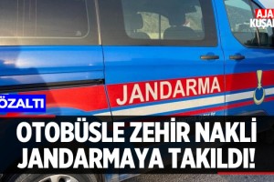 Otobüsle Zehir Nakli Jandarmaya Takıldı!