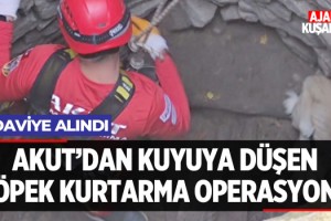 Akut'dan Kuyuya Düşen Köpek Kurtarma Operasyonu