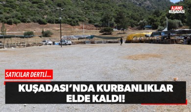 Kuşadası'nda kurbanlıklar elde kaldı!