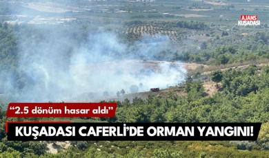 Kuşadası Caferli'de orman yangını!