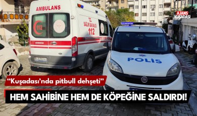 Kuşadası'nda pitbull dehşeti: hem sahibine hem de köpeğine saldırdı!