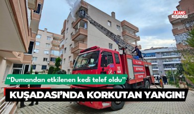 Kuşadası'nda korkutan yangın!