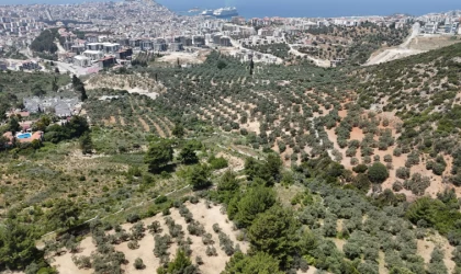 Kuşadası'nda bungalov ev dolandırıcılığı