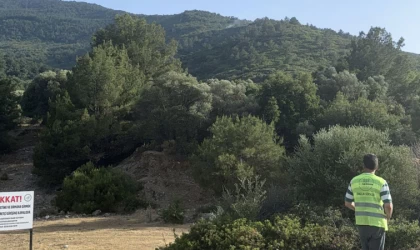Güzelçamlı Milli parkta yangın çıktı!