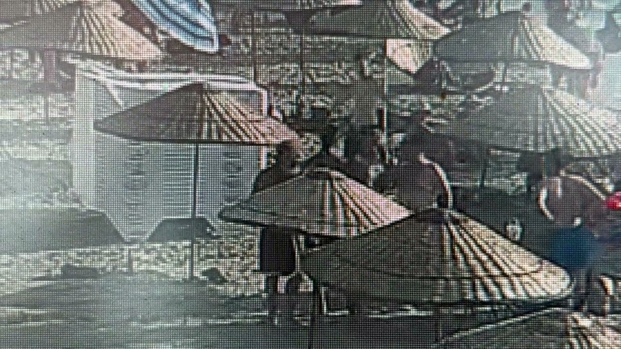 Kuşadası'nda Ada Güncel'in haberi kuyruklu yalan çıktı! Kuşadası'nda Ada Güncel'in haberi kuyruklu yalan çıktı!